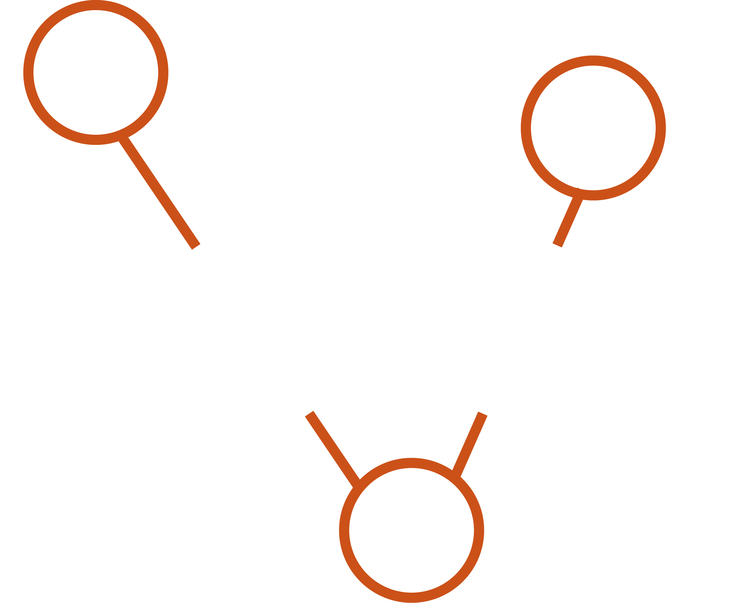 Demuynck en Vansteelandt nv